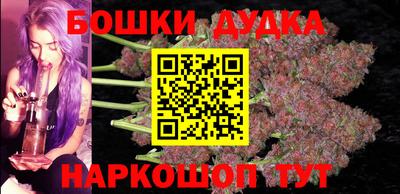 индика Обнинск