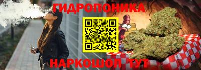 индика Обнинск