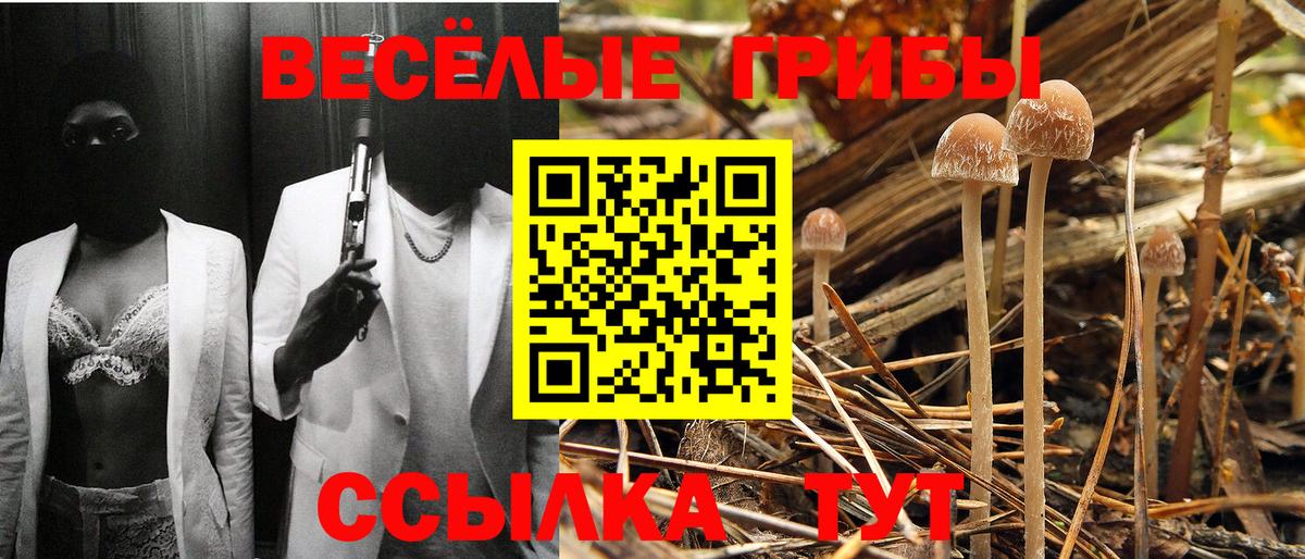 Галлюциногенные грибы мухоморы  Галлюциногенные грибы GOLDEN TEACHER  Вход с VPN  Стрежевой 